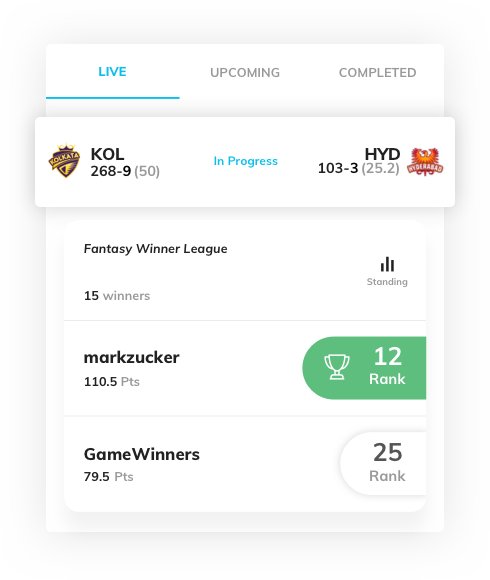 fantasy sports website design with real time data by Vinfotech